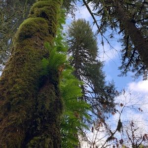 Meet your Posher, Lex!